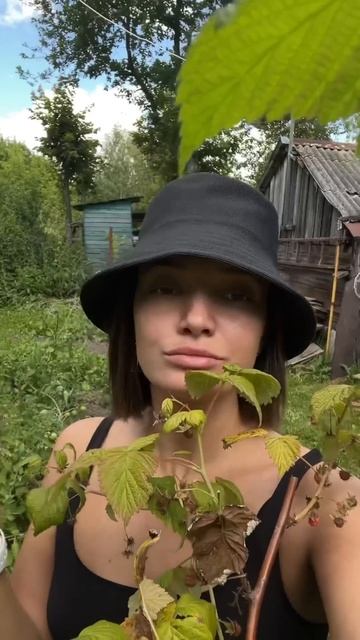 Чем меня кормили в деревне смотреть онлайн