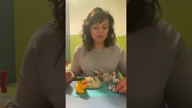Дом.птицы Часть 14 Водоплавающие дом.птицы смотреть онлайн