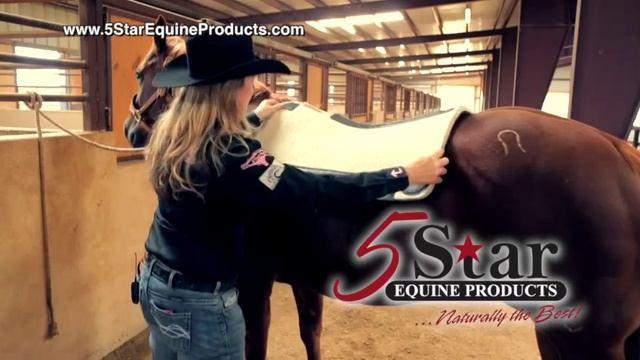 5 Star Equine Products - Lari Dee Guy - Applying Your 5 Star Saddle Pad смотреть онлайн