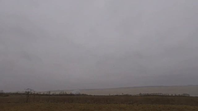 Fly Shark /Летающая акула/