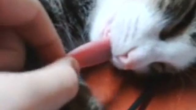 video 2013 11 04 16 26 53 смотреть онлайн