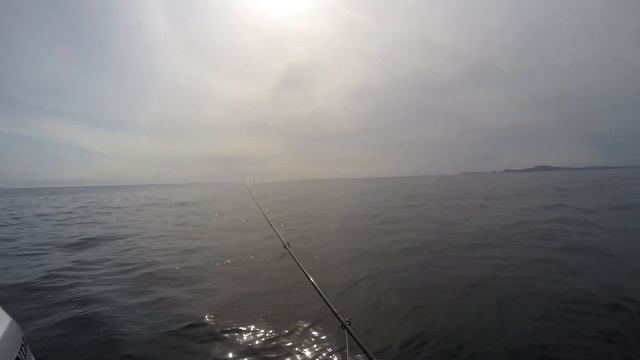 Fly fishing the salt with an 8 weight rod смотреть онлайн
