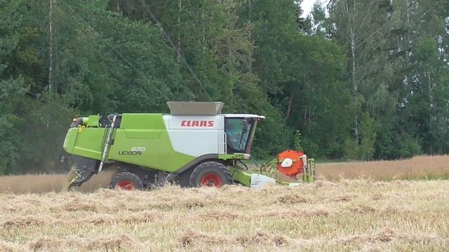 Harvest 2019 | Claas Lexion 670 combine harvesting oilseeds смотреть онлайн
