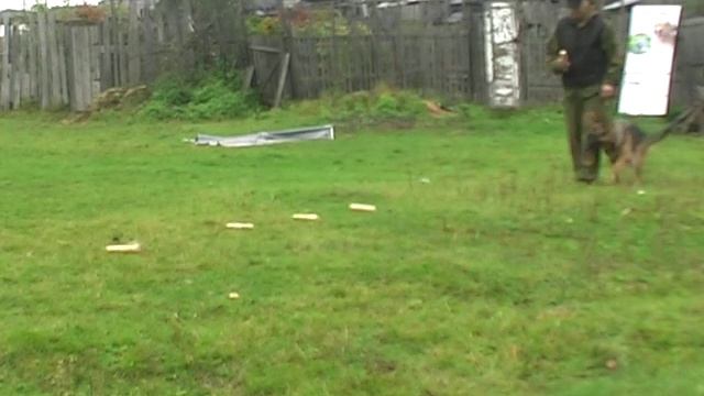 Лапа ЗКС выборка смотреть онлайн