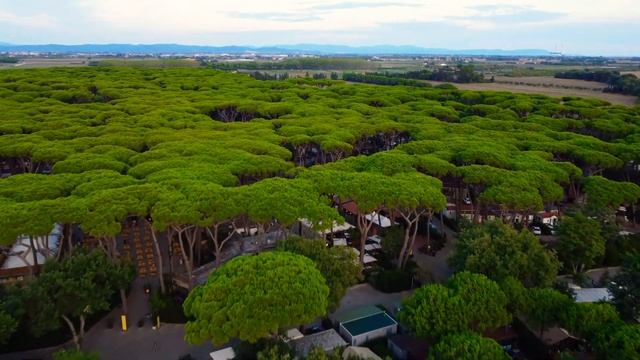 hu Park Albatros Village Toskana (DJI Mini 2) смотреть онлайн