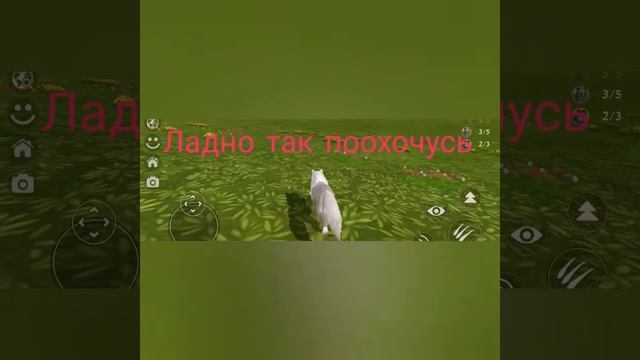 никогда не играй в вилд крафт в 3 часа ночи!!!! смотреть онлайн