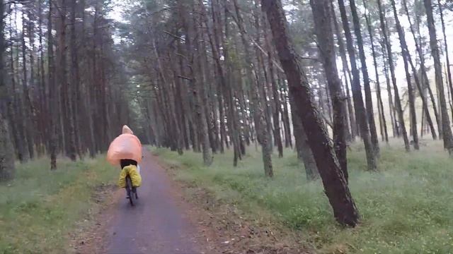 Куршская коса велотрип в дождь) смотреть онлайн