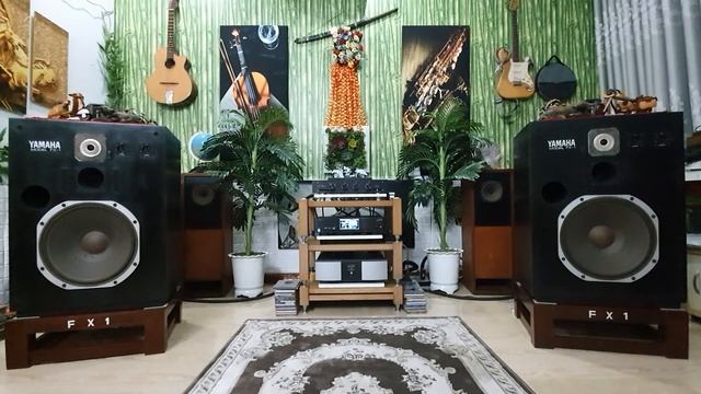 Audible Illusions L3, Cary Dms 500, Mark Levinson No 431, Yamaha Fx-1, Rca Transparent Ref MM2...