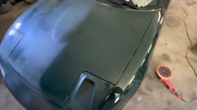 Flew Back Home To The New Daily