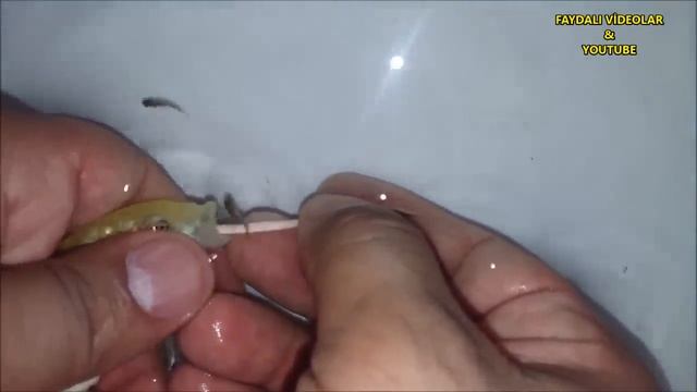 Yellow princess giving birth - 27.07.2017 смотреть онлайн