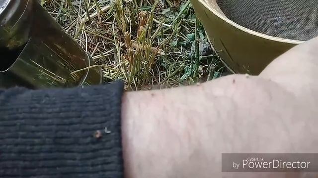 Экстримальный сбор роев пчел. смотреть онлайн