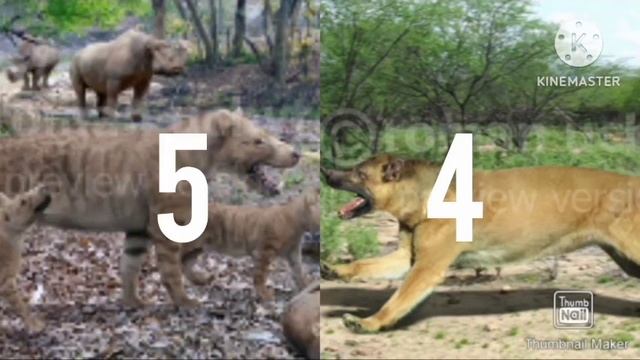 HYENADON GIGAS VS AMPHICYON INGENS - WHO IS THE REAL KING BONE CRUSHER смотреть онлайн