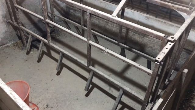 Жнива 2022 готуємось// дураків робота любе смотреть онлайн