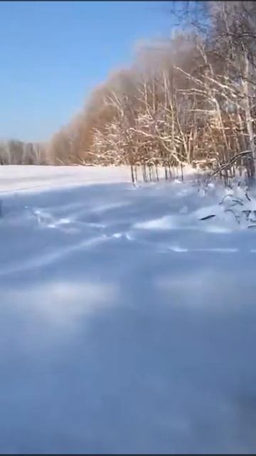 Лиса в Селюково смотреть онлайн