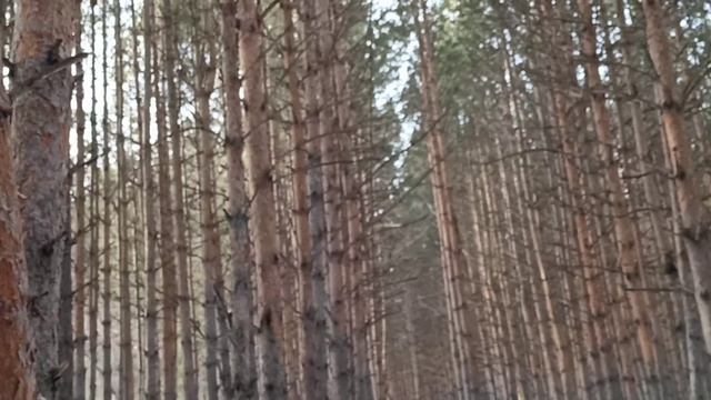 Иногда в воскресенье надо отдыхать/ Ужинали у родителей/ смотреть онлайн