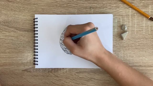 Как нарисовать ум карандашом | Рисунок для начинающих поэтапно смотреть онлайн