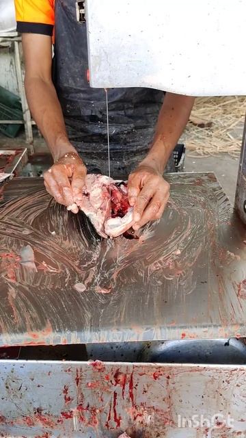 Fish Head divided by Bone Show Matchine