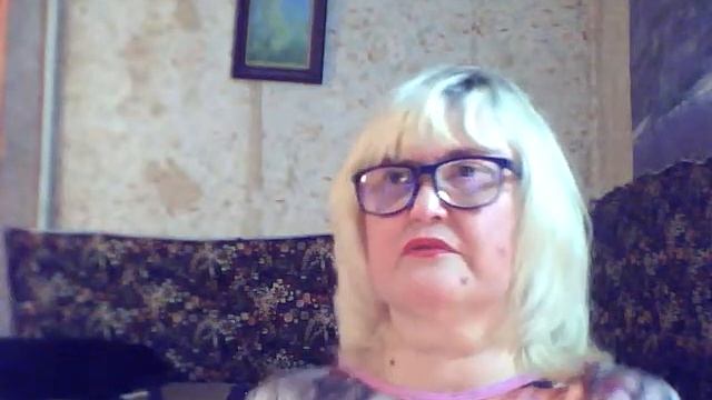 СТРИМ ПОСВЯЩЕН БЕЗДОМНЫМ КОТИКАМ смотреть онлайн
