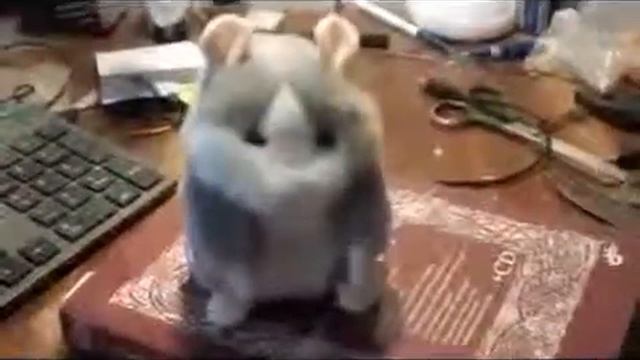 Говорящий Хомяк Хомяк Мышка повторяк смотреть онлайн