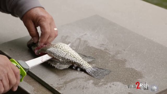 How to Fillet Crappie Quickly with Mr. Crappie смотреть онлайн