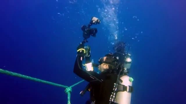 Silky shark dive, Darwin island, Galapagos смотреть онлайн