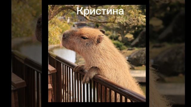 Какая ты капитана по имени😘 #рекомендации смотреть онлайн
