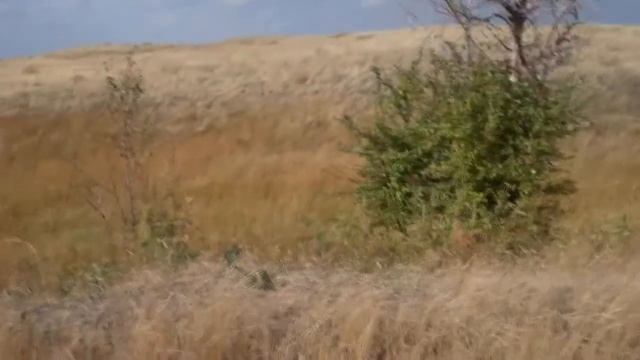 Песня Сергея Ларина «Скучное совершенство» смотреть онлайн