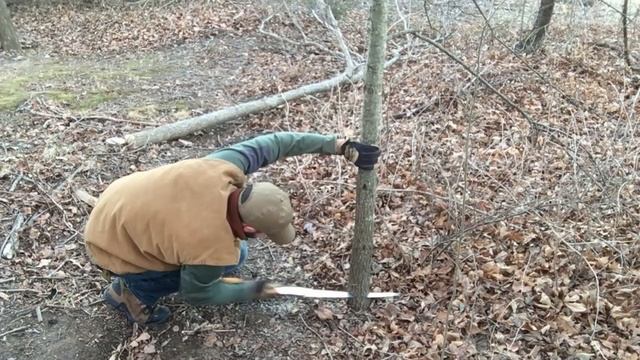 Silky Big Boy Folding Saw смотреть онлайн