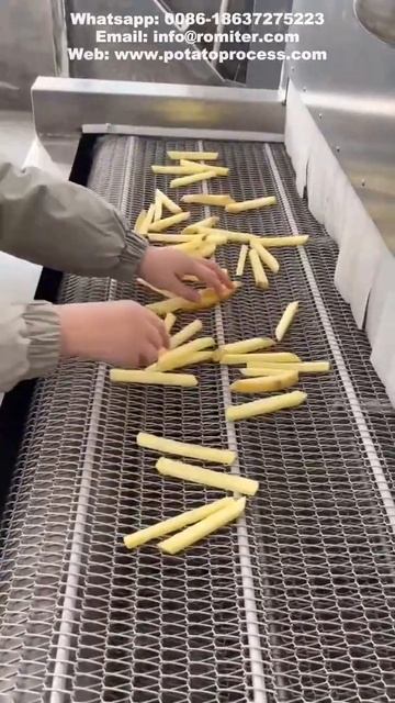 Potato French Fries Instant Freezer Machine-IQF Freezer смотреть онлайн