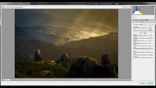 Color Grading in Photoshop | Camera Raw Filter #tutorial #photoshop смотреть онлайн