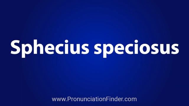 How To Pronounce Sphecius speciosus смотреть онлайн