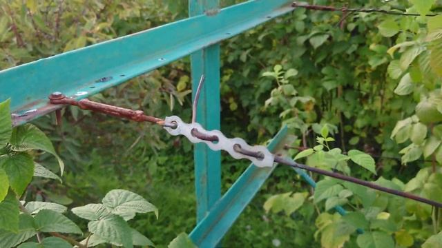 Шпалера для малины