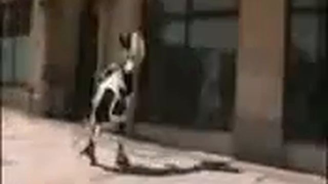 Бешеная корова смотреть онлайн