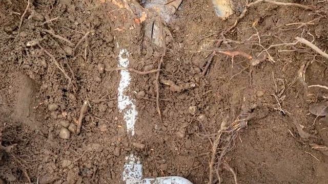 Flow sensor and master valve upgrade for an old irrigation system. смотреть онлайн