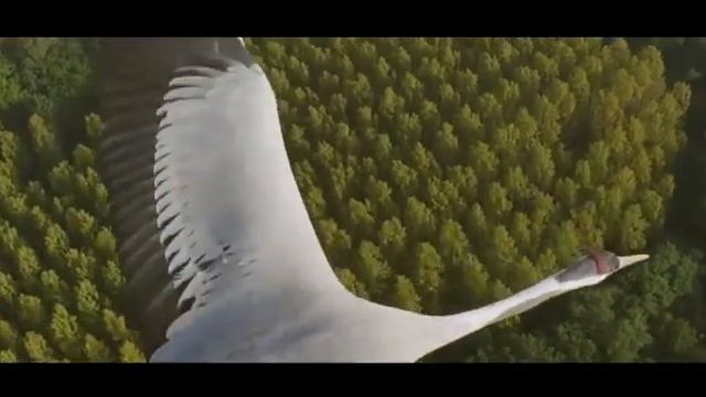 Чахоян Саркис ( Sar KISS) "Чувствую душой" смотреть онлайн