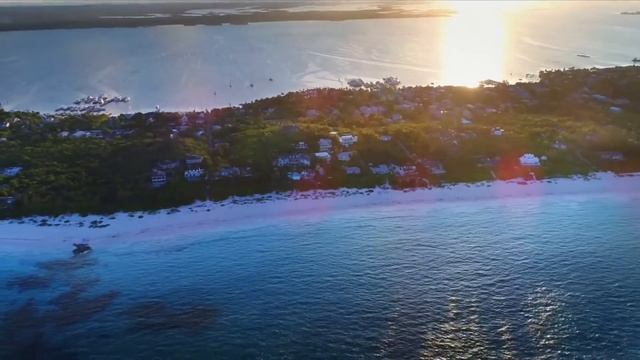 CYDO ECSTASY Sadie Black official remix | Deep House English Songs Girls Models Popular Song Mega смотреть онлайн