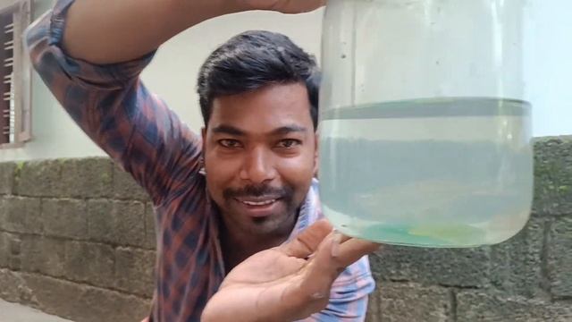 setting new TANK for alligator 🤩 gar 🐊Fish/JENISH KJ смотреть онлайн