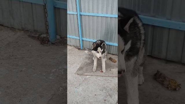 Новый год 2021 мой любимый Космос и вкусняшка ))