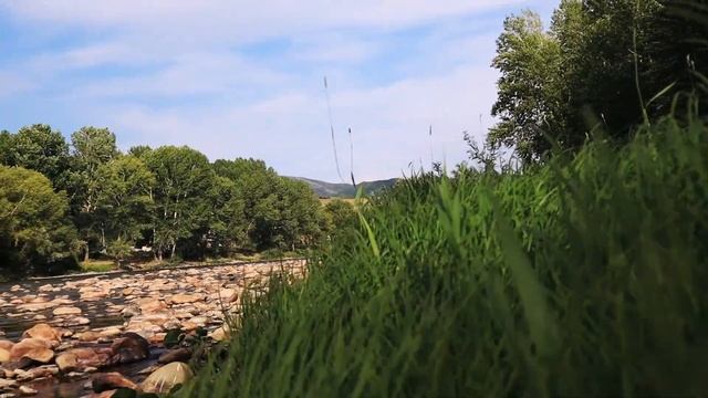 Canon m50 15-45 mm video test (colored) смотреть онлайн