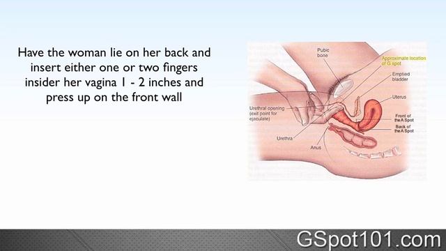 How To Find The G Spot Demonstration Video смотреть онлайн