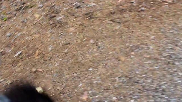 Drag weight pt 1 8/6-2017 (Tullinge) смотреть онлайн