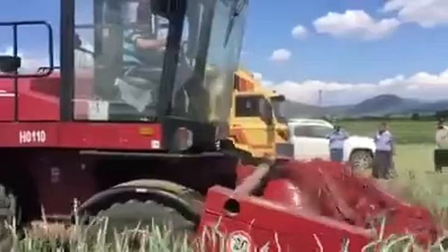 Erdem slaj trtikale slajı смотреть онлайн