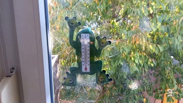 🐸лягушка - термометр # 🐸Frosch - Thermometer # 🐸frog - thermometer смотреть онлайн