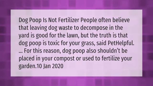 How do you dispose of dog poop at home? смотреть онлайн