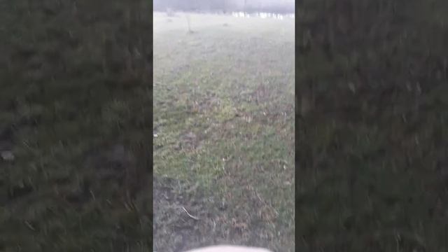 RV Onan Generator Runs Then Dies After A While, Cummins, Onan 4000, 5500 All The Same Problem/fix.