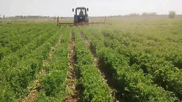 МТЗ 892 & КРН5.6 смотреть онлайн