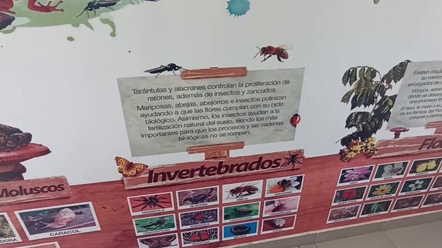 parque Rumipamba flora fauna смотреть онлайн