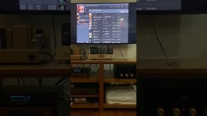 Sun Audio 300B
