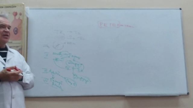 Эпителий часть 2 проф. Баринов Э.Ф. смотреть онлайн