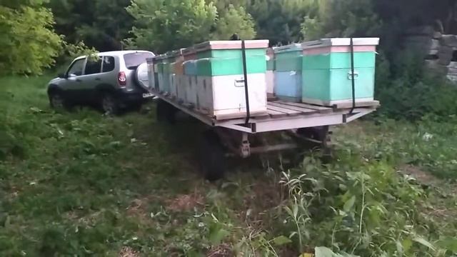 самодельные пчеловозы смотреть онлайн